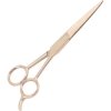 Eisco Dissecting Scissors - Straight Style - 110mm - Stainless Steel
