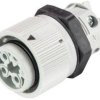 Wieland Electric 46.051.5054.0 Złącze okrągłe złącze żeńskie do wbudowania Seria: RST® MINI Łączna ilość styków: 3 + PE