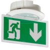 Oświetlenie awaryjne Legrand 0,6 W czas działania 1h szerokość 187 mm (średnica) Schowany IP40