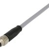 Sensor actuator cable, M8-cable plug, straight to open end, 4 pole, 2 m, PVC, gray, 21348000481020