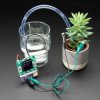 Adafruit Bonsai Buckaroo - micro:bit & CLUE Plant Care Helper
