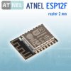 ATNEL ESP12F 4 MB FLASH