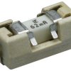 SMD fuse 9.73 x 5.03 mm, 2 A, FF, 125 V (DC), 125 V (AC), 50 A breaking capacity, 0154002.DR