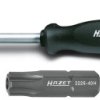 Bit gwiazdkowy Hazet 2225-20H C 6.3 1 szt.