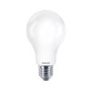 Żarówka LED CorePro LEDBulb ND 150 W E27 A67 827 FR G 929002372602 PHILIPS