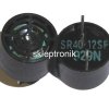 Odbiornik ultrasonik R4012A1