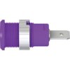 Stäubli 497046-26 SLB4-F63 Safety jack socket violet 1 pc rigid Ø 4 mm