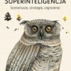 Superinteligencja. Scenariusze, strategie, zagrożenia