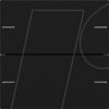 5752 005 Rocker set, 2-way for tactile sensor 4.55 - matt black