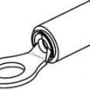 Insulated ring cable lug, 2.08-3.31 mm², AWG 14 to 12, 3.02 mm, beige, 1577637-1