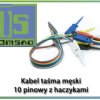 Kabel taśma męski 10PIN z haczykami
