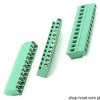 MSQ12005 Terminal Blocks 12 Pin R 5,08 THT SAURO