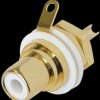 NYS367-9 RCA panel jack, gold, white colour ID ring