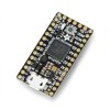 ItsyBitsy M0 Express - płytka z mikrokontrolerem ATSAMD21 - Adafruit 3727