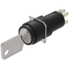 EAO 51-235.022D Keylock Sw 2 posn main SA 1NC+1NO ST/PT D18 gold/silver A 311