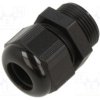 AIO-BSCS-25