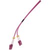 Renkforce RF-4942830 Fibre Optic Cable Purple red Fibreglass 1.00 m