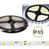 TASMA LED 5050IP65 300LED Z.BI.
