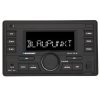 Radio samoch.BLAUPUNKT 2DIN PALMA 2-din BLUETOOTH