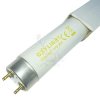 25W/840 L» 970 G13 T8 Oxy 3884