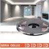 Taśma Delux 24V 160Led 6000K Ra90 1900Lm Smd2835 (10)