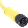 Przewód czujnik-siłownik ze złączem Złącze M12 liczba rdzeni 4 długość 2m Rodzaj A Męskie