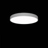 Lampa sufitowa LED RIDI SPC0620061 SPC0620061 4430 lm biały