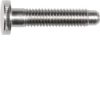 Śruba z główką cylindryczną Hager REH107X M5 x 25 1 szt.