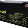 Akumulator ołowiowy Long WP65-12 WP65-12, AGM, 12 V, 65 Ah