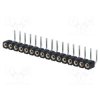 DS1002-01-1X16R13