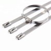 500x4.6mm Stainless Steel Cable Tie