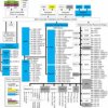 16/32 Bit RISC Flash MCU, Cortex R4F, EMAC, USB | PGE | 144 | -40 to 105