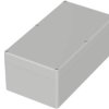 PC enclosure, (L x W x H) 300 x 160 x 120 mm, light gray (RAL 7035), IP65, 62247300