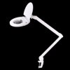 8W 6500K LED Workshop Lamp with 5