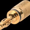 Banana plug, gold plated, cable Ø=4 mm