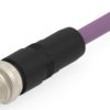 Sensor actuator cable, M12-cable plug, straight to open end, 2 pole, 1 m, PUR, purple, 4 A, TAB62135501-002
