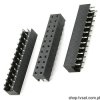 91813-124 Socket 2 x 12 Pin THT BERG