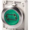 Napęd przycisku 30mm płaski zielony /RUCH SAMOPOWTARZALNY/z podświetleniam z samopowrotem M30C-FDL-G-X32 182968