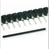 socket strip 32-pin x 0.1in 1 row straight through - Winslow Adaptics