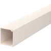 Cable duct, (L x W x H) 2000 x 30 x 30 mm, PVC, cream white, 6026826, 1 piece with 2 meters