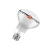 Żarówka LED do roślin R80 E27 9W DIOLED CB-220536