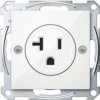 MERTEN Mechanizm z płytką centralną System M gniazda USA biały polarny MTN2156-0319 SCHNEIDER ELECTRIC