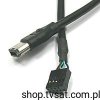 DA33 Cable + IEEE 1394, 2 x 4 Socket 0.40m CABLE RAFI
