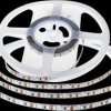 21324 LED strips, neutral white, 4500 K, 5000 mm, IP20