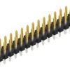 Pin header, 30 pole, pitch 2.54 mm, straight, black, SLLP209730S