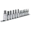 Sealey AK6213 Trx-star Socket Bit Set 12pc 1/4", 3/8" and 1/2"sq Drive