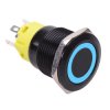 Blue LED On-(On) Momentary 19mm Black Vandal Resistant Push Button Switch SPDT