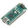 Arduino Nano - A000005