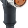 Sensor actuator cable, M8-cable socket, angled to open end, 4 pole, 2 m, PVC, black, 4 A, 0805 04 002 2M