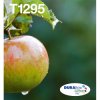Epson C13T12954511 Epson Apple Multipack 4-colours T129 EasyMail
